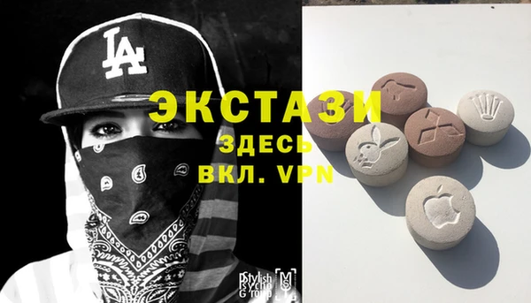 мет Алексин