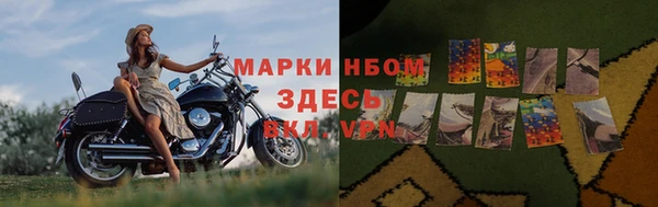 гашик Алексеевка