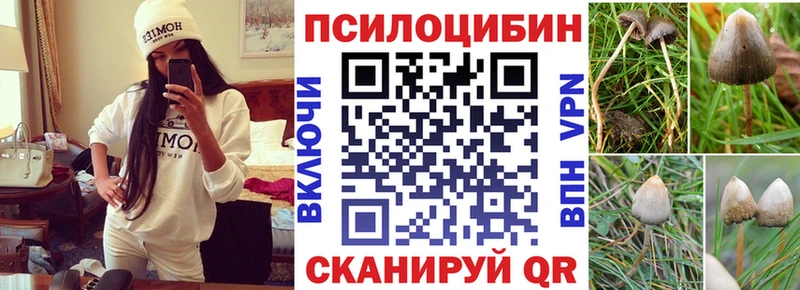Галлюциногенные грибы Magic Shrooms  даркнет сайт  Николаевск 